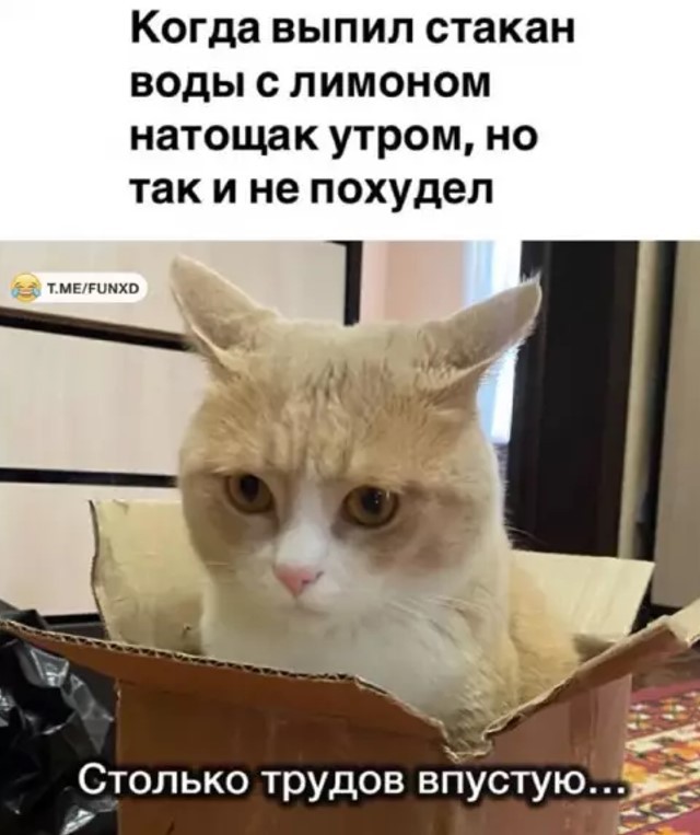 картинка d59e561b91 20939476