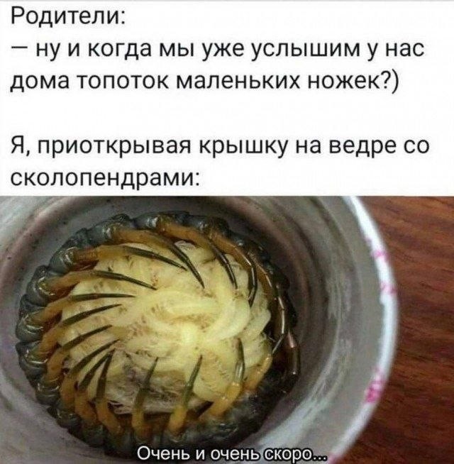 картинка d772a36941 20918467