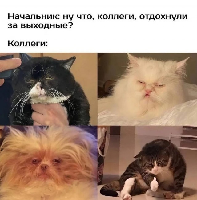 картинка d7773e532e 20918854