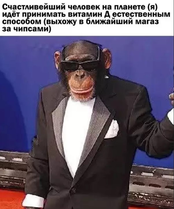 Маленькая пятница уже здесь! 🎉 Лови порцию свежих шуток и мемов, чтобы пережить середину недели с улыбкой! шутки, чтобы, маленькая, приколы, пятница, выходных, настроения, недели, самые, Готовьтесь, которые, самый, совсем, повороты, каждый, работу, нашел, чтото, душеСитуативные, 😉Неожиданные