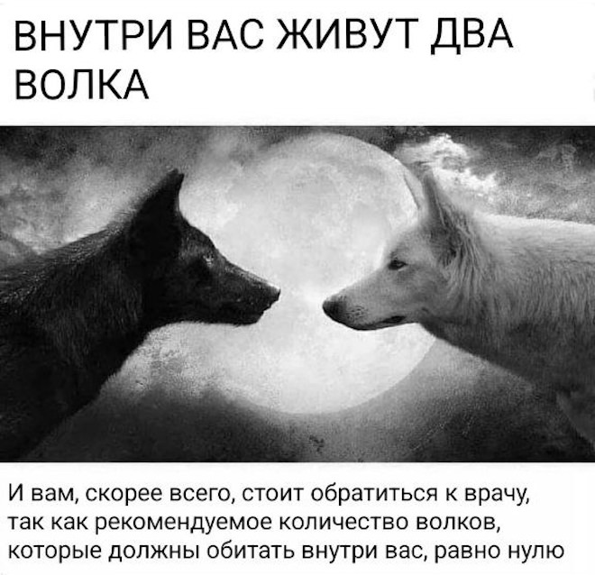картинка e14dfb7754 samoe aktualnoe iz mira memov i kommentariev 13