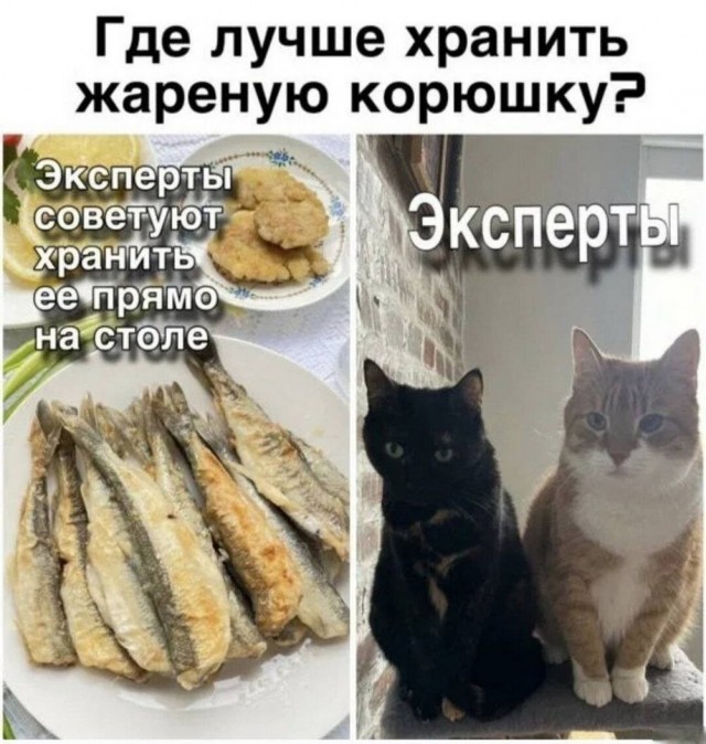 картинка e1ba88ab07 20937272