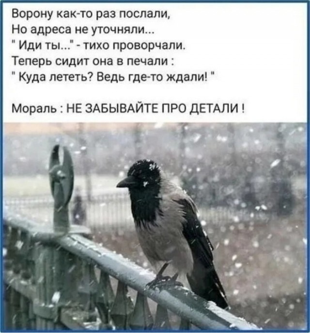 картинка e2a45929ce 20938526