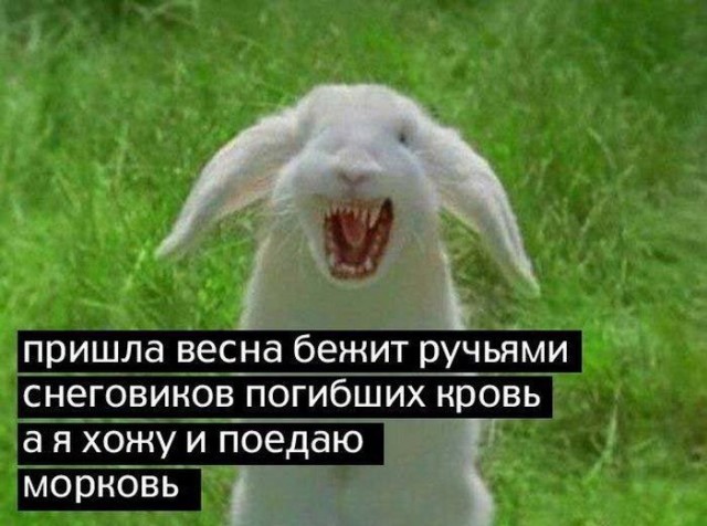 картинка e2cc778d7c 20955856
