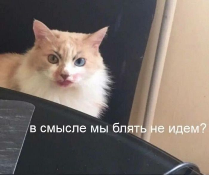 картинка e307436902 bolshoj sbornik chernogo jumora amoralnye prikoly i poshlye memy 11