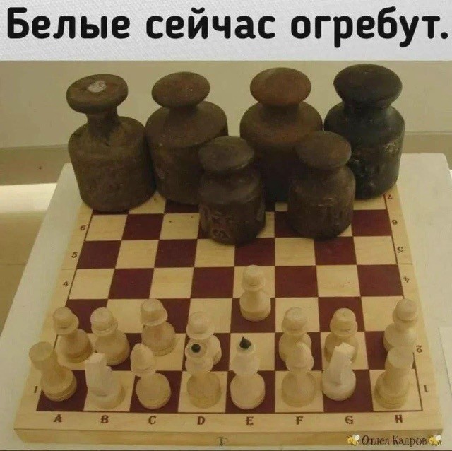 картинка e43e1166c5 20985487