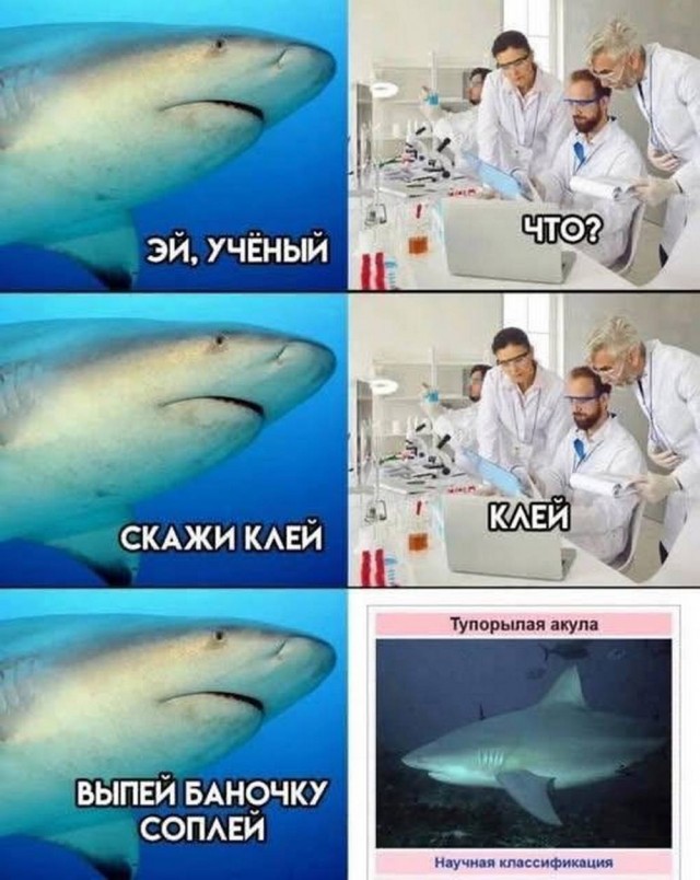 картинка e604785b30 20937276