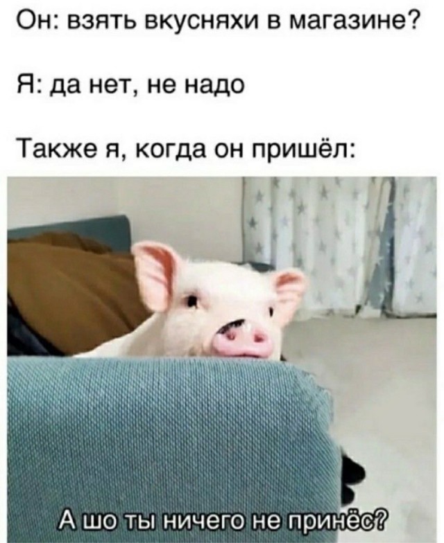 картинка e665179dde 20985502