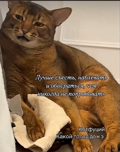 картинка e78a55c34b 20936919