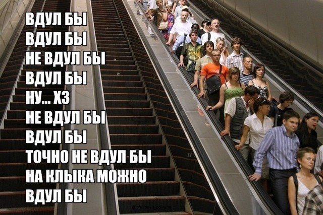 картинка ec688f37cc 20985031