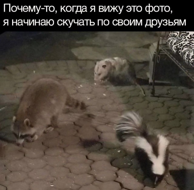 картинка ec6f1ca1cb 20970007