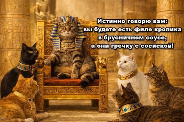 картинка ed6c7ddd09 20955852