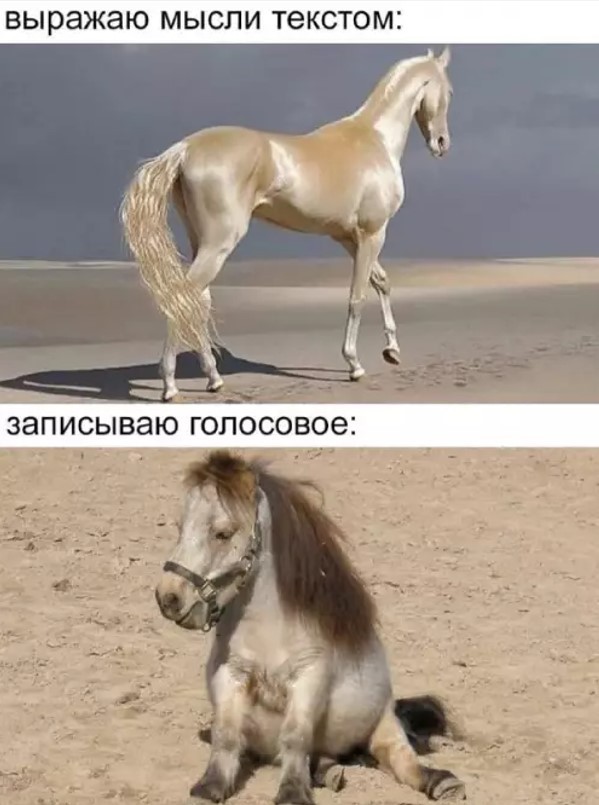 Пятница! Время для порции отличного юмора! Пятница, расслабиться, настроением, хорошим, Заряжайтесь, позитивным, максимально, сделать, чтобы, картинок, мемов, подборку, свежую, подготовили, посмеяться, время, маленький, самое, значит, выходные
