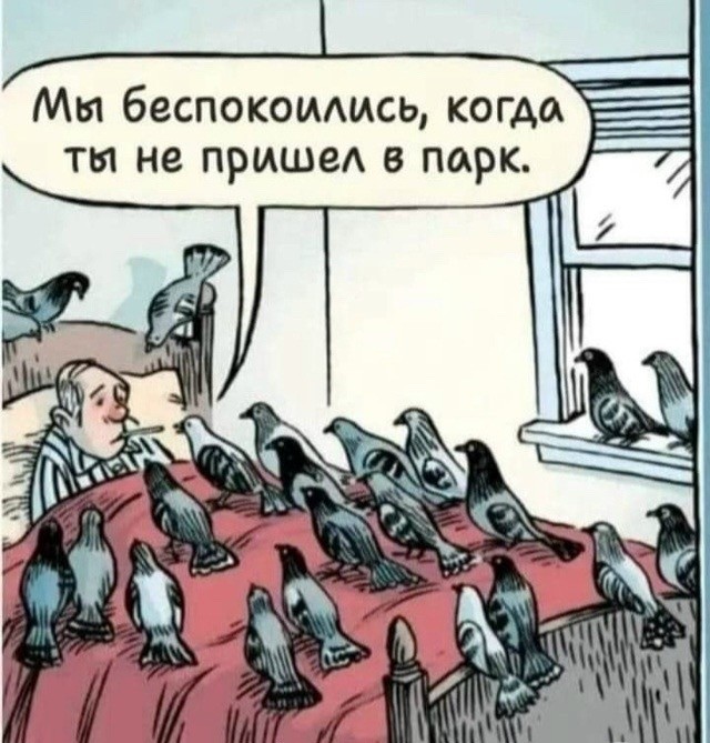 картинка ef71242334 20953309