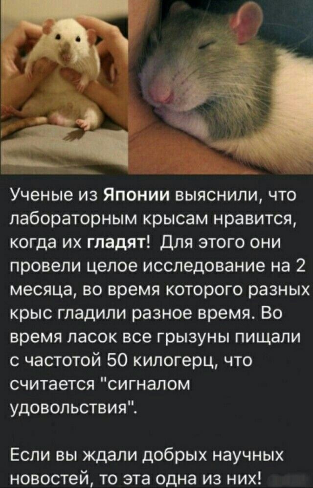 картинка f151e5c58c samoe aktualnoe iz mira memov i kommentariev 6