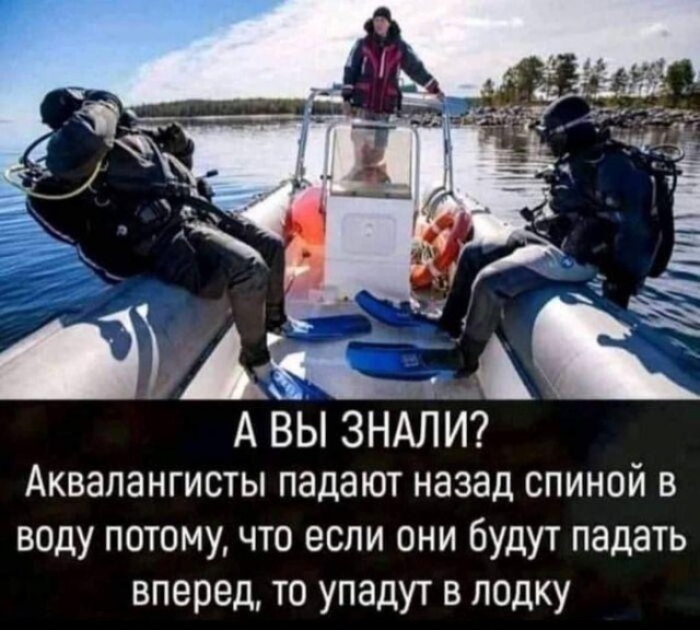 картинка f1a82f8be6 20985649