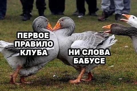 картинка f5300c23c2 zagljanite v nash novyj sbornik zdes samye poshlye i smeshnye memy 17