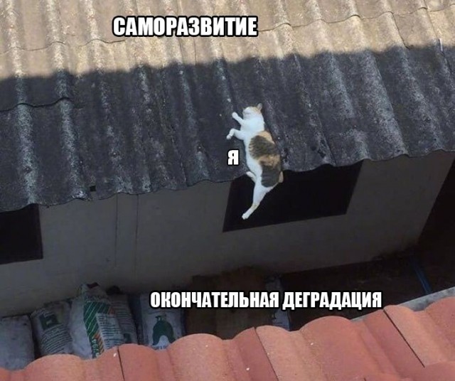 картинка f5f81569d0 20973010