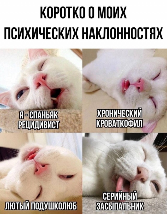 картинка fa944cb377 20955844