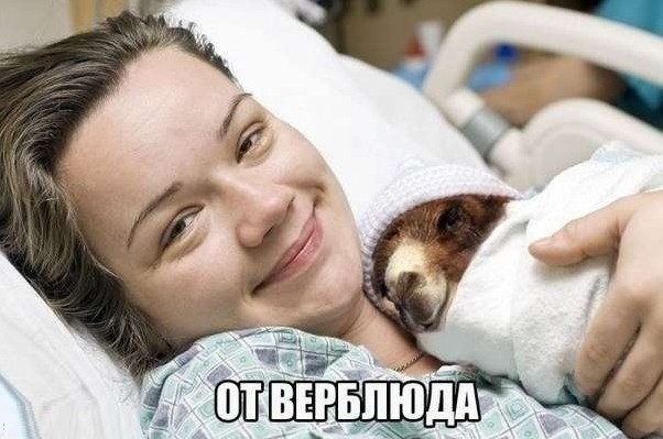 картинка fbb57791c6 chernyj jumor dlja teh kto ne boitsja zagljanut za gran 20