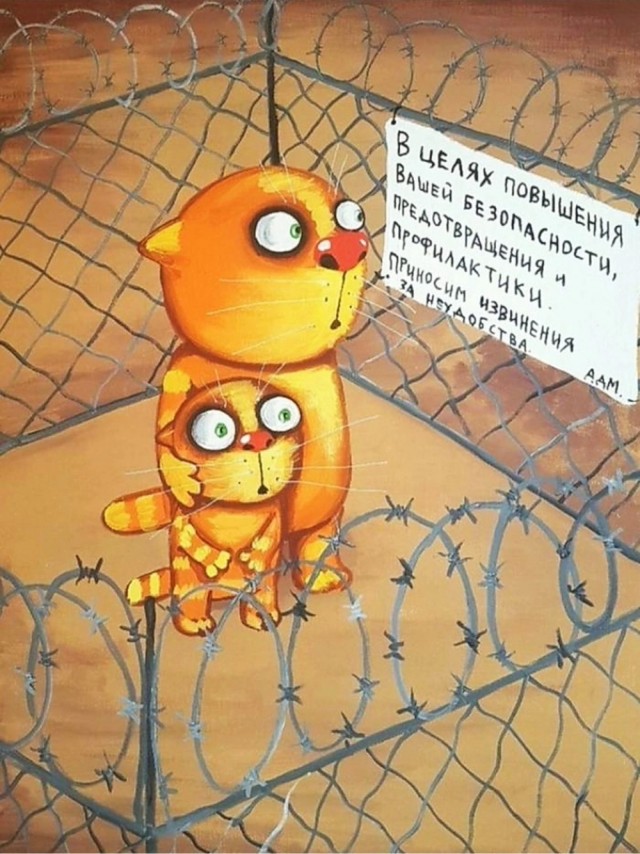 картинка fcf8e0b9da 20987149