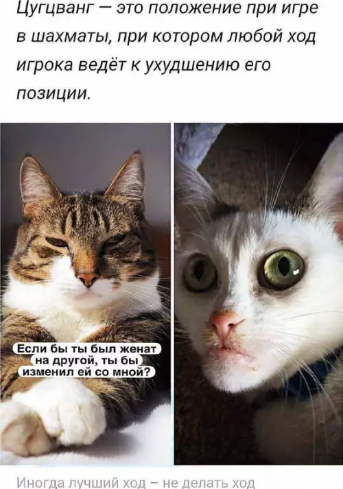 картинка fe4af56ae1 20920828