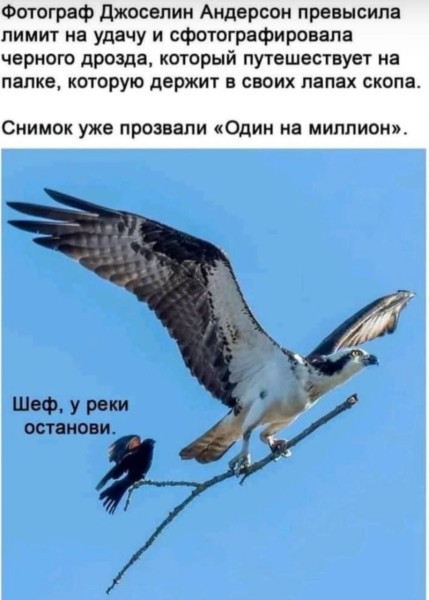 картинка fe65471920 20986408