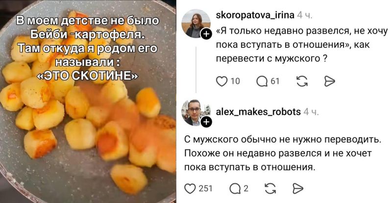 Только что из сети: ваш новый заряд хорошего настроения! ✨