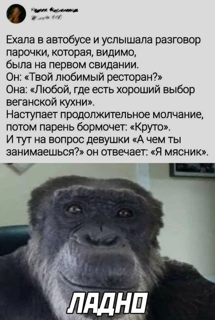 картинка 00c1a73ad3 ulybnites podborka samyh smeshnyh memov i prikolnyh kommentariev iz socsetej 17