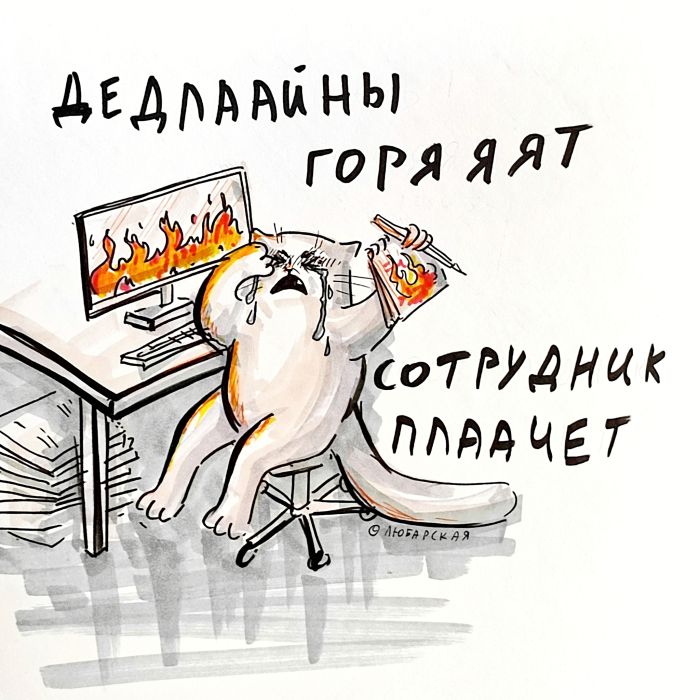 картинка 0475edef27 000000000