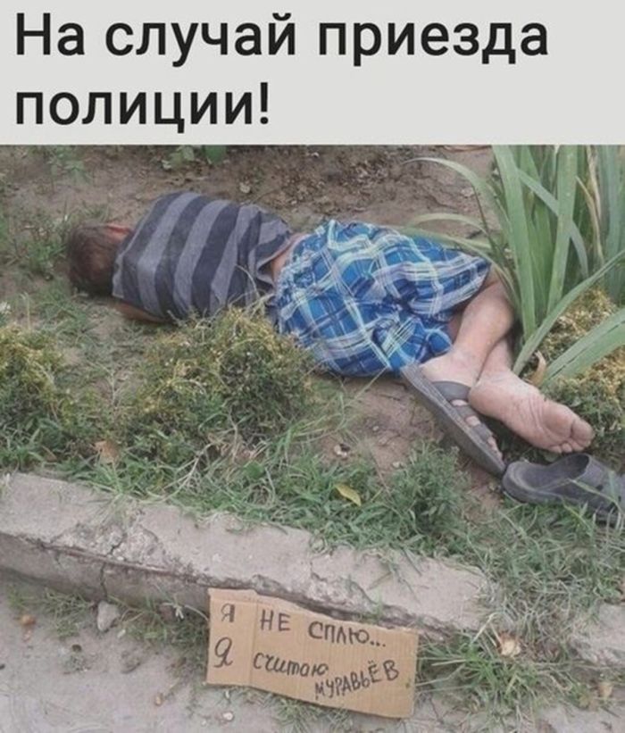 картинка 06db99ab47 1779286004