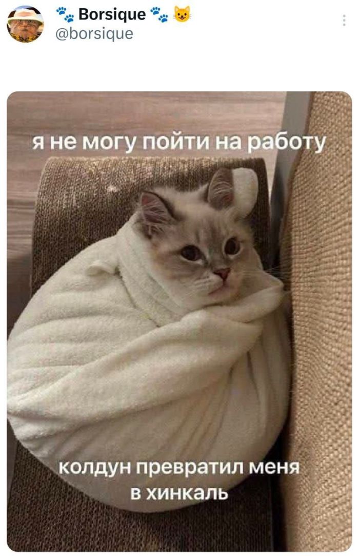 картинка 0c17a20fcd ulybnites shire bolshaja podborka svezhego jumora dlja vashego otlichnogo nastroenija 10