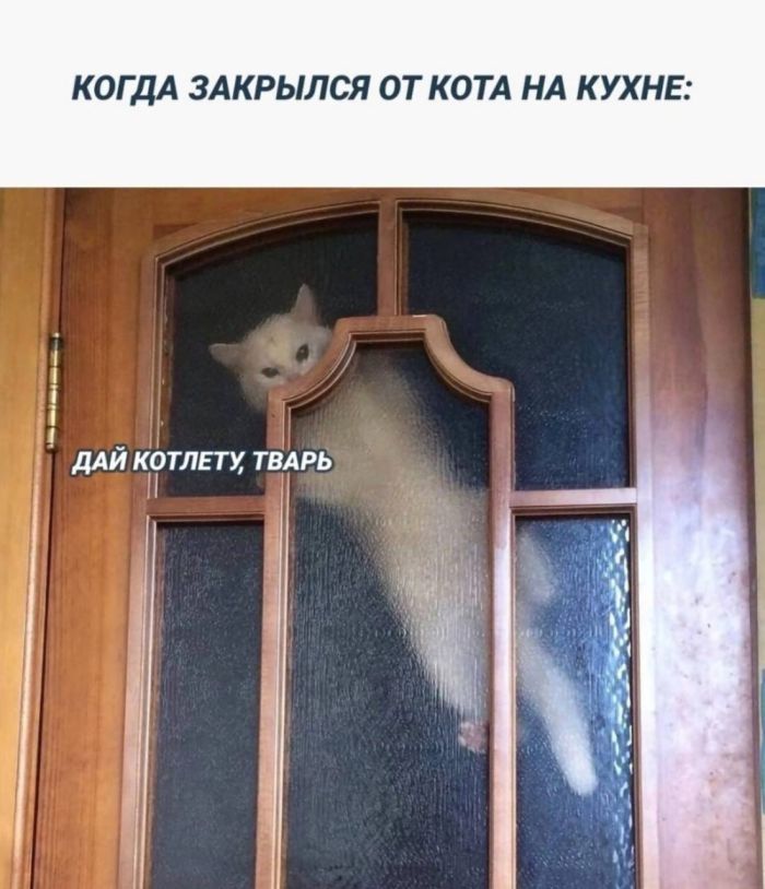 картинка 0cd356ee20 ura malenkaja pjatnica vremja dlja porcii svezhih shutok i pozitiva 15
