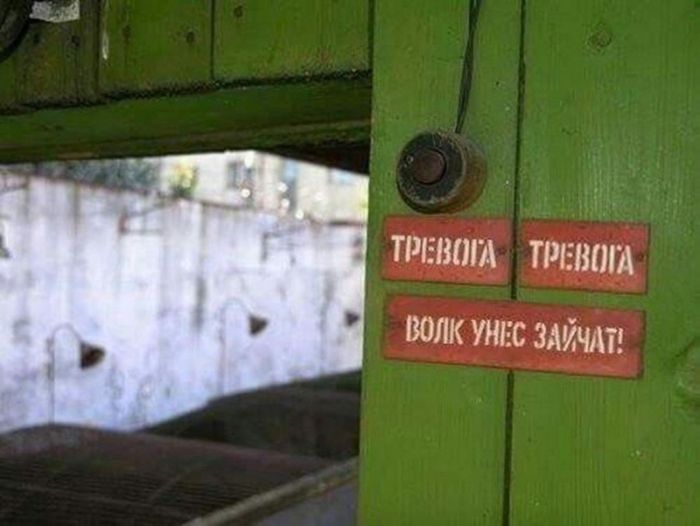 картинка 0fdb59896c svezhij jumor dlja otlichnogo nastroenija uzhe zdes 21