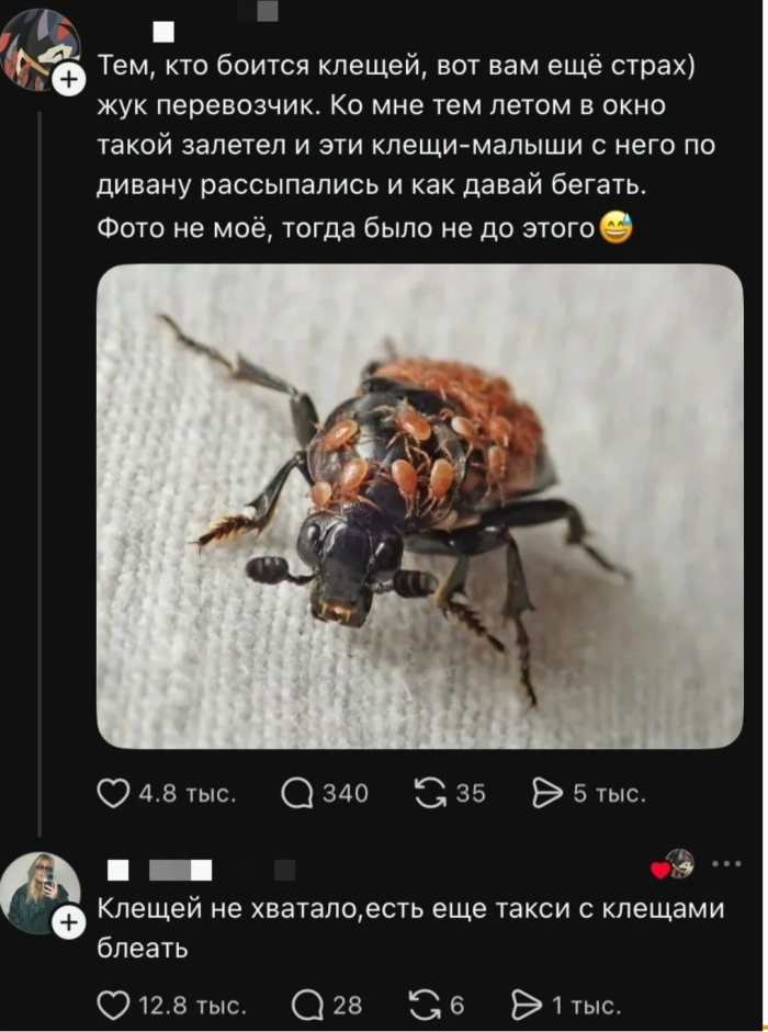 картинка 12efe46806 novye memy i kommenty iz socsetej vse samoe smeshnoe sobrano dlja vas 00