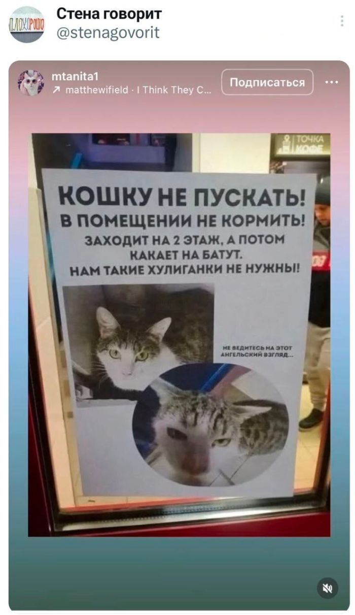 картинка 135a8e1e91 tolko chto iz seti vash novyj zarjad horoshego nastroenija 5