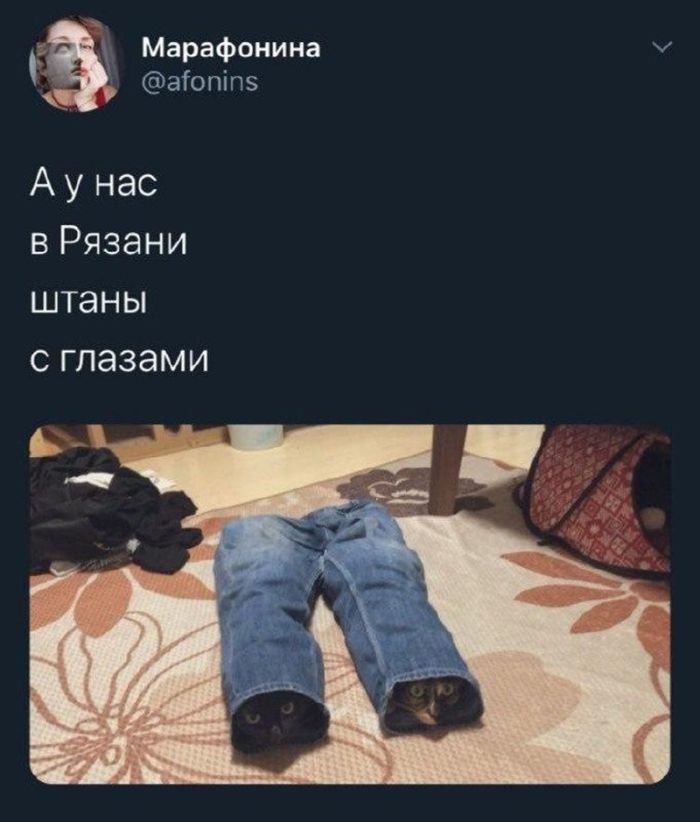картинка 17b54434af chernyj jumor podborka dlja podnjatija nastroenija 16