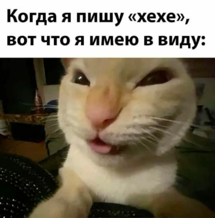 картинка 1c2565f647 00000000000000000000