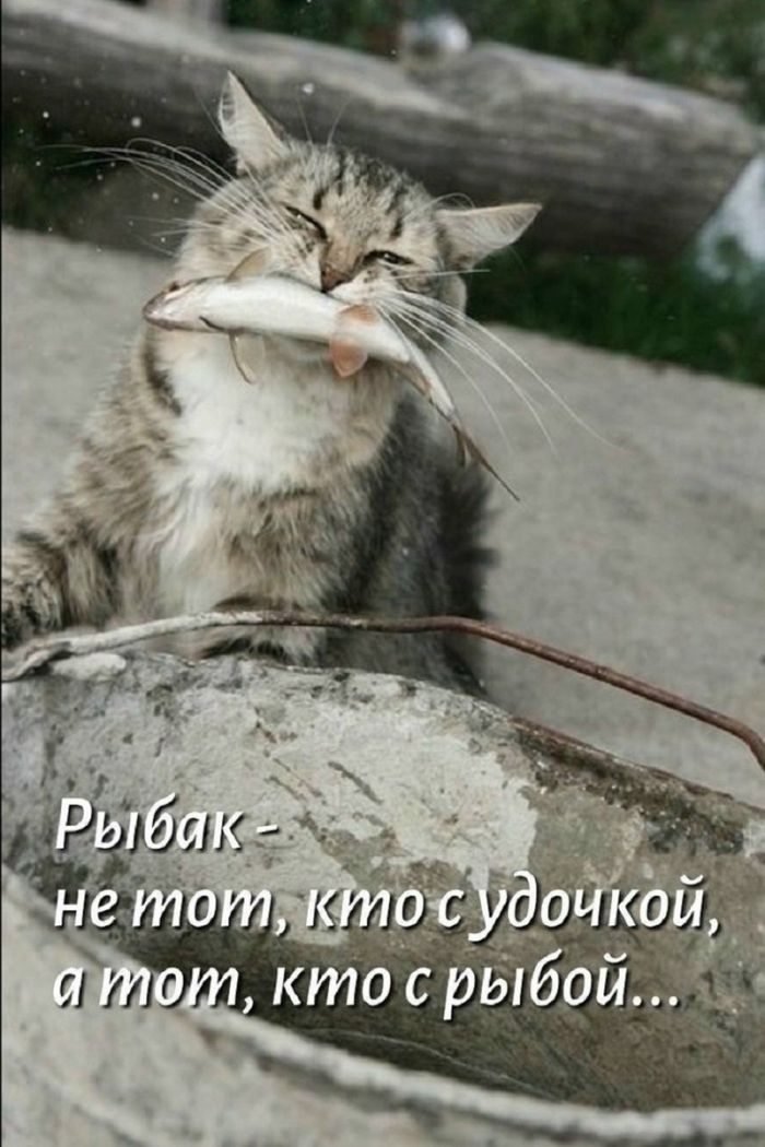 картинка 1d4e065113 chernyj jumor amoralnye memy poshlye shutki 21