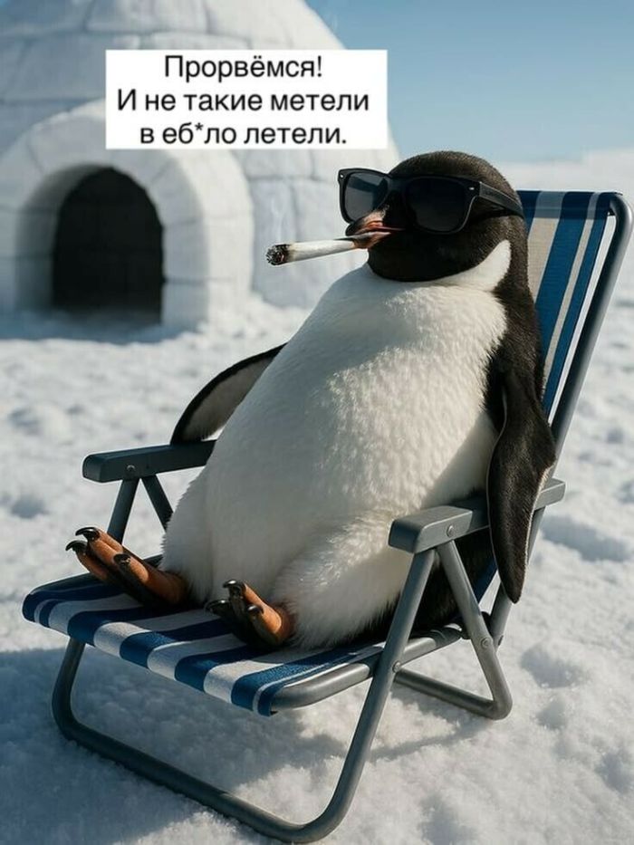 картинка 1f32337dfd zagljanite v nash novyj sbornik zdes samye poshlye i smeshnye memy 15