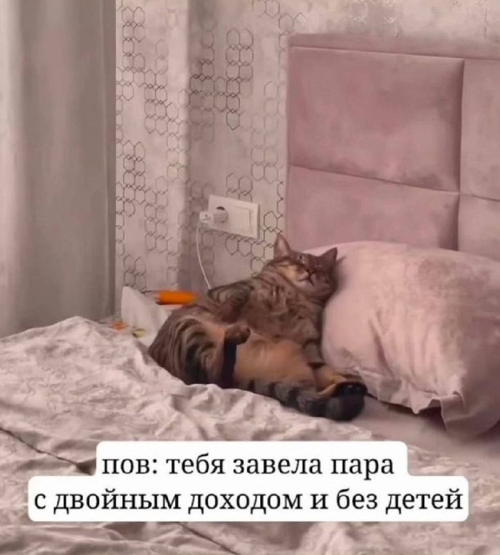 картинка 20b403578e svezhie shutki iz interneta prjamo v memah i kommentarijah 8