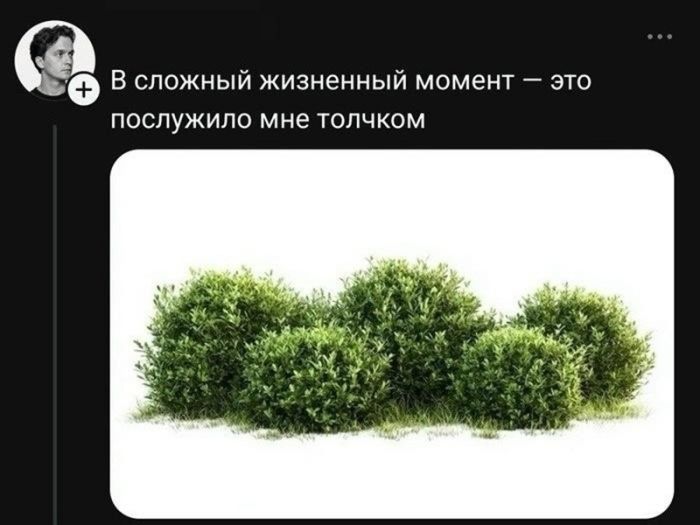 картинка 25fe0f371e s perchinkoj podborka chernogo jumora iz socsetej dlja iskushennyh cenitelej 12