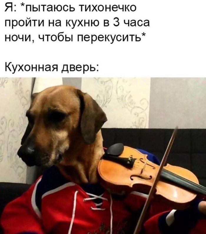 картинка 283ad95f03 20977358
