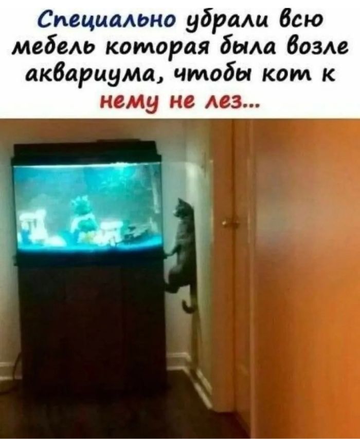 картинка 2c86f5b8aa ura pjatnica zarjazhaemsja pozitivom s novoj porciej jumora 6