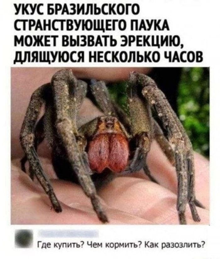 Аморально смешно: Черный юмор для взрослых, без цензуры! устали, истинных, сетей, легких, путей, ценит, который, наотмашь, Только, ценителей, просторов, жанра, готовых, полной, свободе, моральных, устоев, Предыдущая, социальных, комментарии