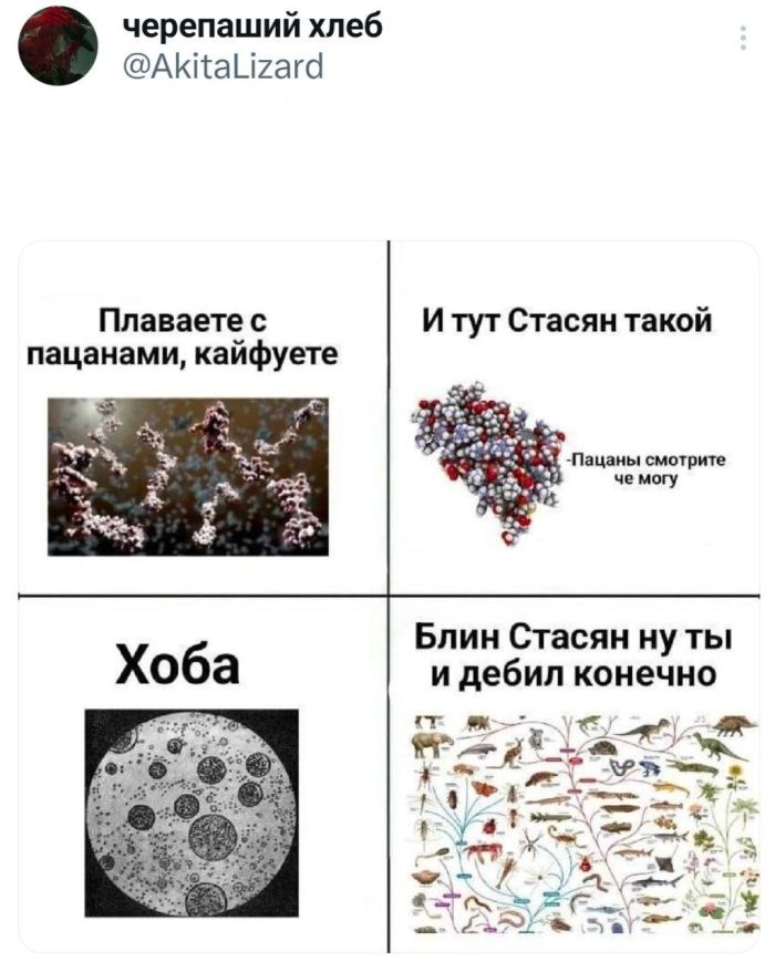 картинка 300166b257 ulybnites shire bolshaja podborka svezhego jumora dlja vashego otlichnogo nastroenija 9