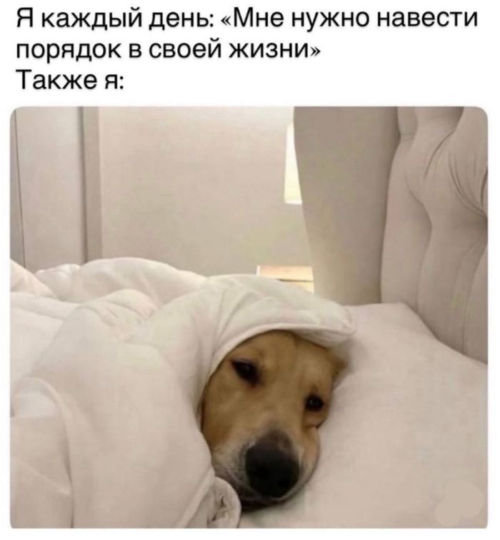 картинка 323e52e542 budni ne povod grustit podborka pozitiva dlja ljubogo dnja nedeli 4