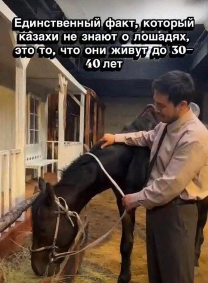 картинка 342fc5c499 000000000000000