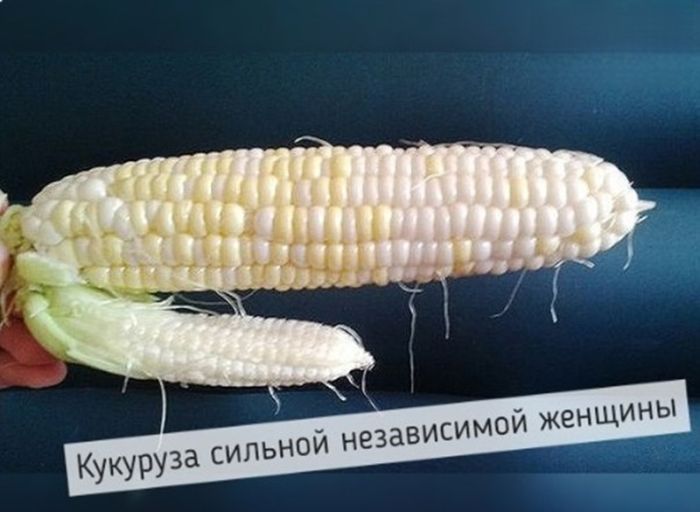 картинка 3461341d94 chernyj jumor dlja teh kto ne boitsja smejatsja nad tabu 32