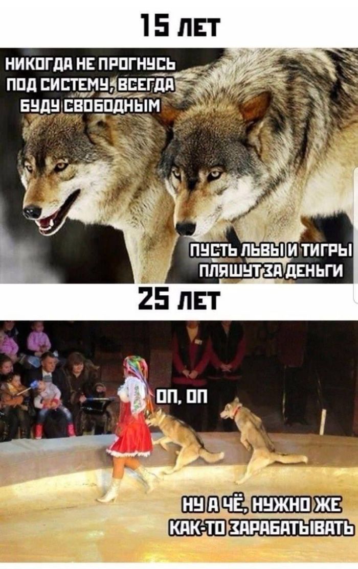картинка 3602c14563 ura malenkaja pjatnica vremja dlja porcii svezhih shutok i pozitiva 9